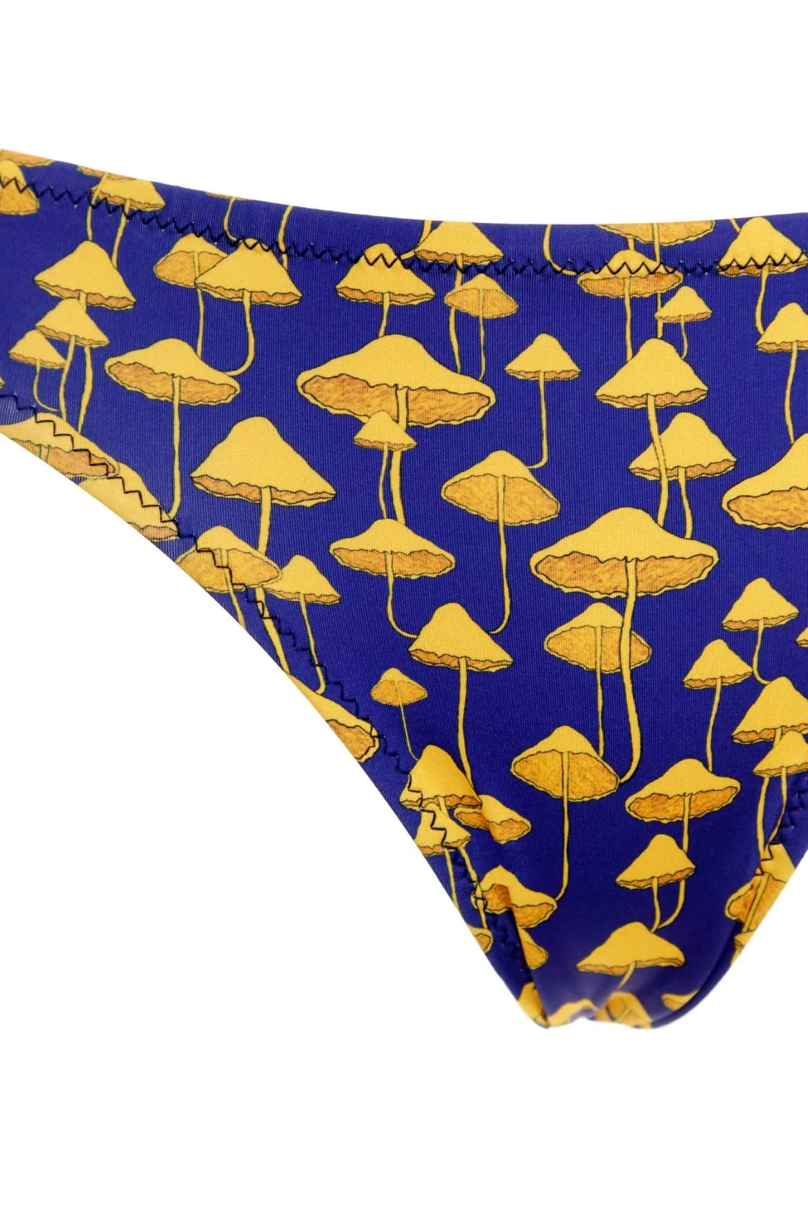 Lo Bikini Bottom 6 Lo Bikini Bottom - Image 6