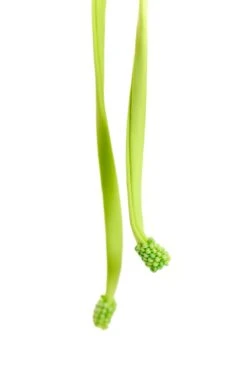 Tammy Bikini Bottom -Active Swimwear Shop Tile Tammy Bikini Bottom 14327 5